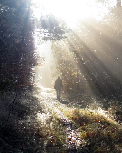 Blog-De_binnenwereld_DomeinKasteeldeSchans